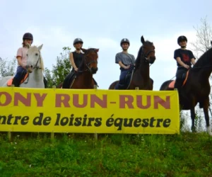 cours collectif equitation